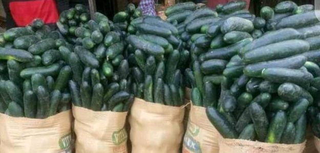 Mmesomachukwu Joy Nwankwo